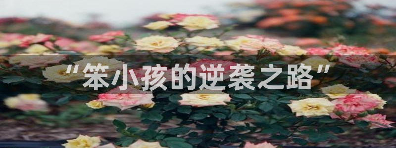 星辰影视在线看全集免费播放