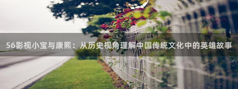 海贼王免费星辰影院
